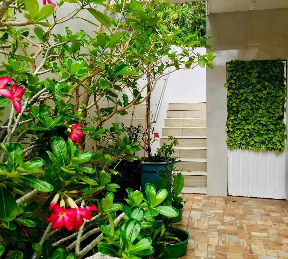 Departamento Jaguar Apartment Playa del Carmen